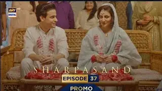 Sharpasand Episode 37 Teaser | Sharpasand Episode 37 Promo | Review | 5th Feb 2026