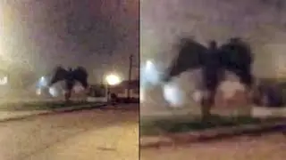 Weird And Unbelievable Things Are Happening Around The World