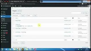 Comments in WordPress Page and Post