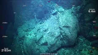 ROV Dive 419 - Seamount Exploration - World Ocean Day - Part 3
