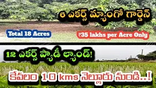 18 Acres Prime Agri Land Near Nellore &ndash; Paddy & Mango Farm @ ₹35L/acre!