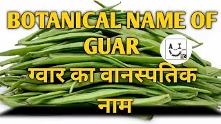 BOTANICAL NAME OF GUAR ।। ग्वार का वानस्पतिक नाम।। BY...AGRI_INFORMATION_