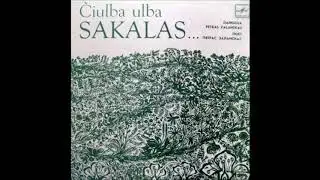 Martin Virgin - Sakalas (feat. Petras Zalanskas)