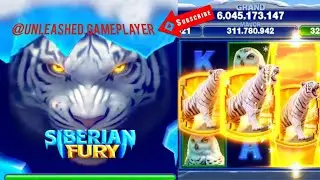 CA$H FRENZY Slot SIBERIAN FURY🐯#cashfrenzy #casino #slots ##gameplay #androidgameplay #gamesforfree 