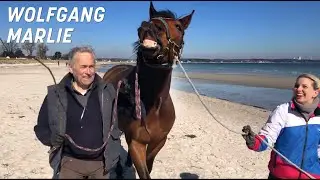 Urlaub bei einem Pferdeflüsterer | Wolfgang Marlie zeigt: Gute Laune ist ansteckend, auch für Pferde
