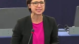 Hannah Neumann (MEP): EU annual report on human rights