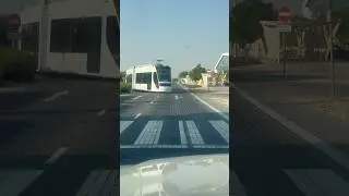 #shorts #qatarlife Tram service in Qatar Education City 🇶🇦