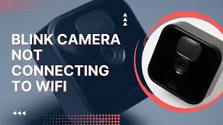 Blink Camera не подключается к Wi-Fi: как исправить