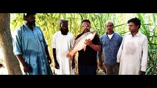 wow amazing fishing!!! a fisherman catch fish | FISHING VIDEO 2020!Dry Season Catching A Lot Of Fish