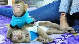 Awesome Baby Mori And Dodo Before And While Sleeping After Lunch