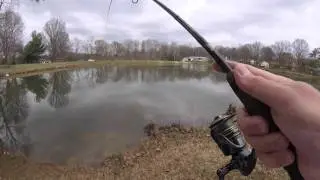 Spring Sight Fishing for Largemouth Bass