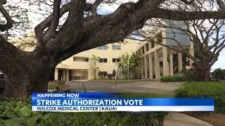 Wilcox Medical Center nurses vote on whether to authorize strike