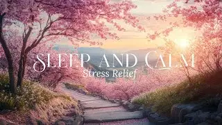 Calming Piano Ambience | Peaceful Music for Sleep and Stress Relief