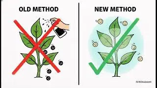 Biotechnology and Its Applications | Class 12 Biology Chapter 10 | NCERT | NEET | Oneshot 