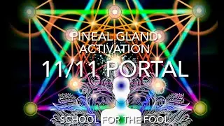 11/11 PORTAL ACTIVATION♾️🦋STARED TWIN FLAME ASTROLOGY #tarot #twinflame #astrology #starseed #1111