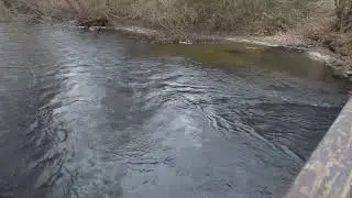 Trainieren für den Rennsteig