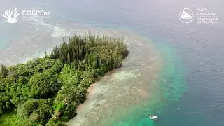 New Pacific Ocean Portal