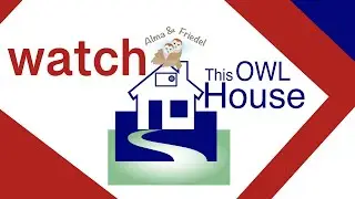 Baby Barn Owls hatching Aug 2025 - This Owl House