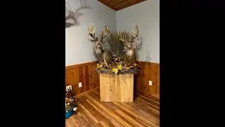 Deer Pedestal mount