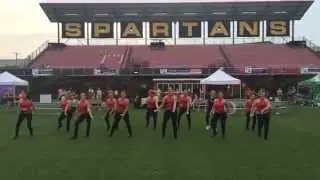 Relay for Life 2015 Performance