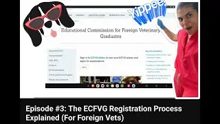 Episode #3: The ECFVG Registration Process Explained (For Foreign Vets)