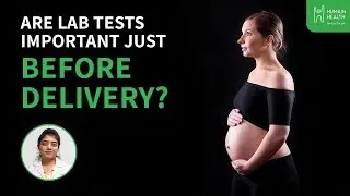 What Tests Should You Expect In Third Trimester? | Humain Health