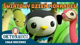 Oktonauci - 🌍 Światowy Dzień Mokradeł 🦛 | Kompilacja | Całe odcinki