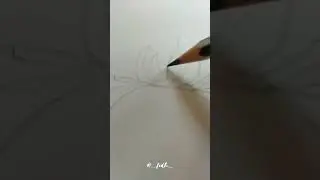 we learn from failure, not from success