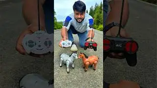 Notun Duita RC Horse 🐎 Remote Control horse testing🔥