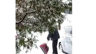 Shoveling Snow is Great Exercise. Shovel With Proper Form #Richard Walters,author