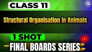 Structural Organisation in Animals I Part 1 I Class 11 Zoology NCERT | Kajal Singh | Embibe