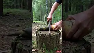 Bamboo Shoot Cutting ASMR 🎋 | Crisp & Smooth Slices
