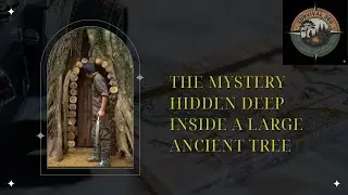 Build a secret shelter deep inside a large, ancient tree.