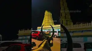 🙏🙏🙏🙏 #status #reels #god #chamundeshwari #mysore #ka10