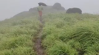 Chokramudi peak Idukki | Chokramudi peak Munnar | Misty valley Munnar | Bison valley Munnar