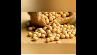 Incorporating Fermented Soy Products