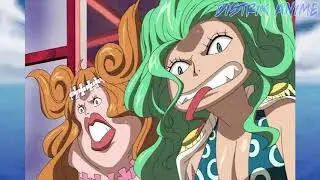 5 Kandidat Calon Istri Monkey D Luffy