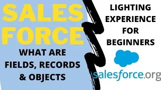 What are Fields, Records and Objects in Salesforce (For Beginners 2026)