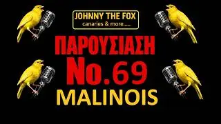 MALINOIS.....ΠΑΡΟΥΣΙΑΣΗ Νο 69