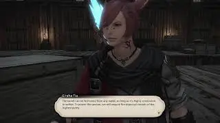 FFXIV Patch 7.0 MSQ 65 Putting Plans into Locomotion