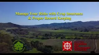 Manage Your Risks with Crop Insurance & Proper Record Keeping