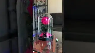 Infinity rose in flask (infinityroze.lv)