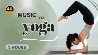 Music for Serenity-  3 Hours of Calming Yoga Rhythms in 4K 🧘&zwj;♀️✨