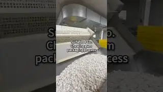 Suifafood Co.Confectionery packaging process #bubblesandgummy  #business #candy #candyfactory