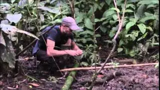 TROPICAL AVIAN ECOLOGY CLASS