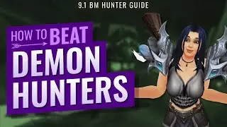 WoW Shadowlands PvP || 9.1 BM Guide || How to beat Demon Hunters