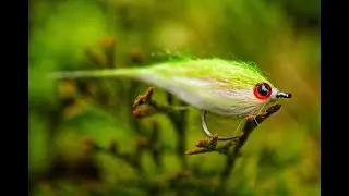 Lockdown! Fly Fishing Through the Quarantine Episode 16: Generic Baitfish