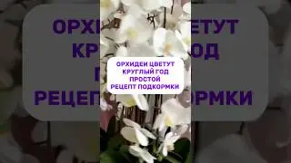 Артикул на то самое чудо-средство 291934334 (wb)