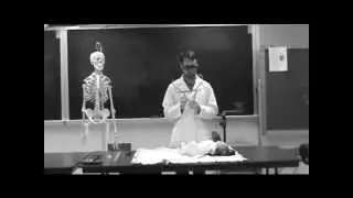 Anthropometry