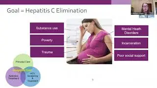 Webinar: Preventing Perinatal Hepatitis B and C Transmission